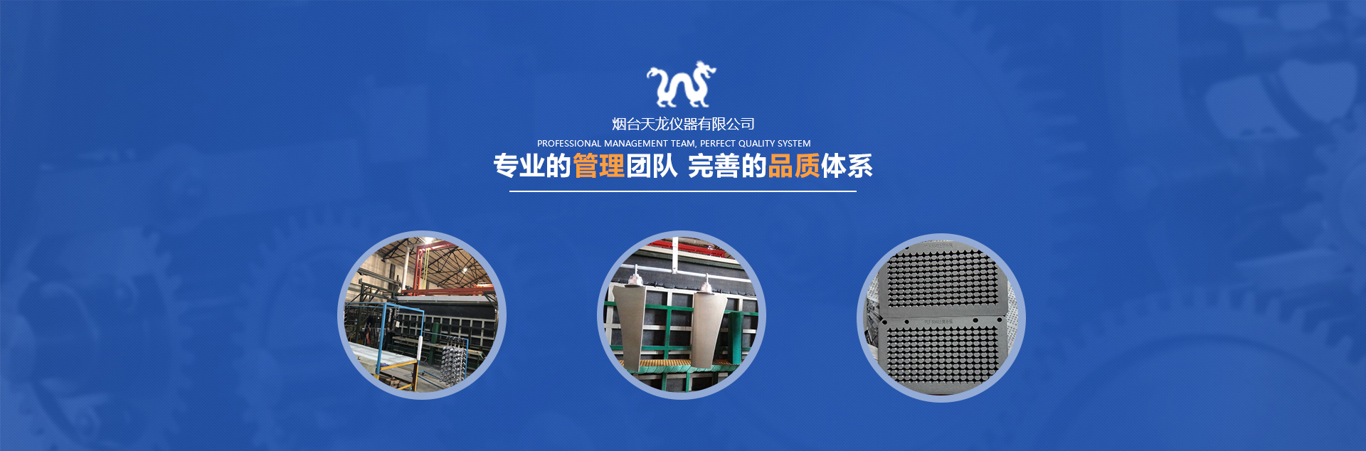 国产91麻豆网站